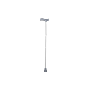 Walking Stick 39L